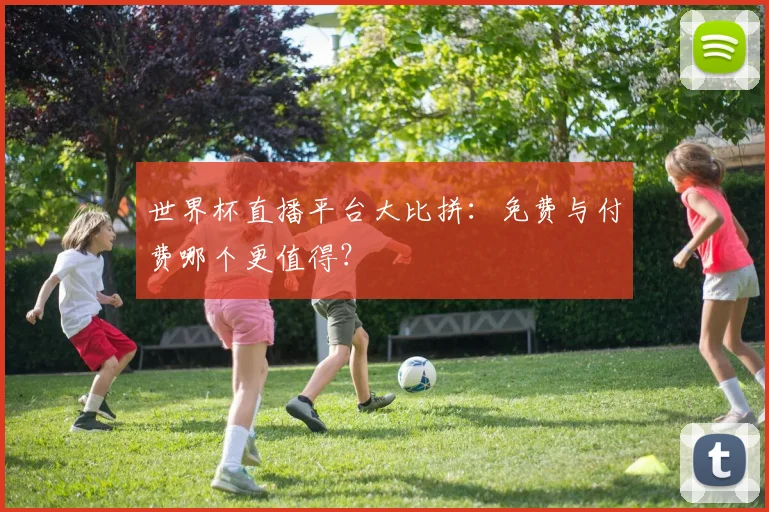 世界杯直播平台大比拼:免费与付费哪个更值得?