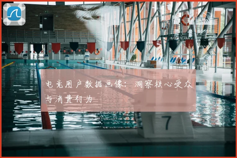 电竞用户数据画像：洞察核心受众与消费行为