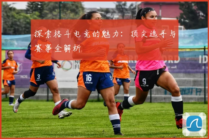 探索格斗电竞的魅力:顶尖选手与赛事全解析