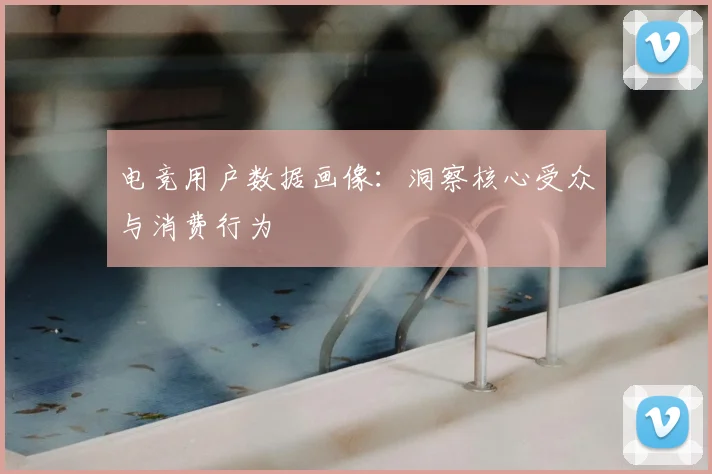电竞用户数据画像:洞察核心受众与消费行为