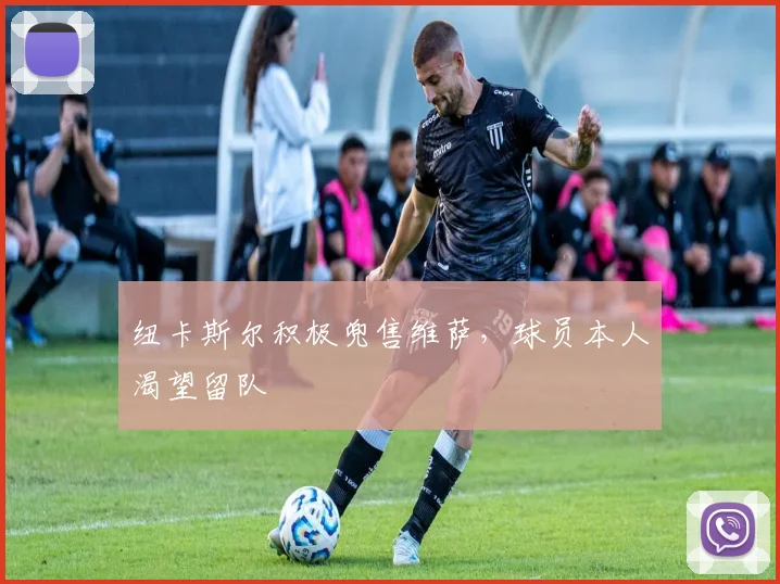 纽卡斯尔积极兜售维萨，球员本人渴望留队