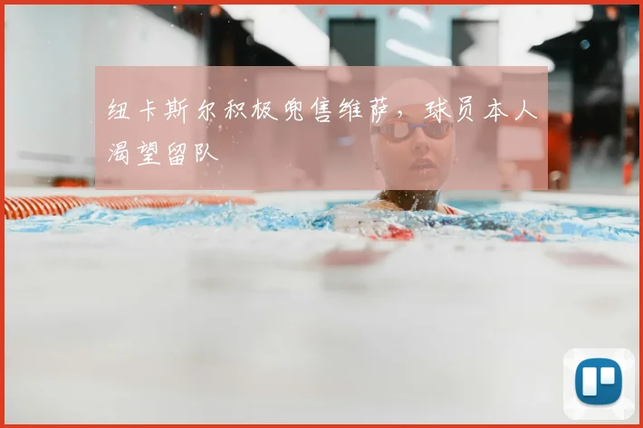 纽卡斯尔积极兜售维萨，球员本人渴望留队